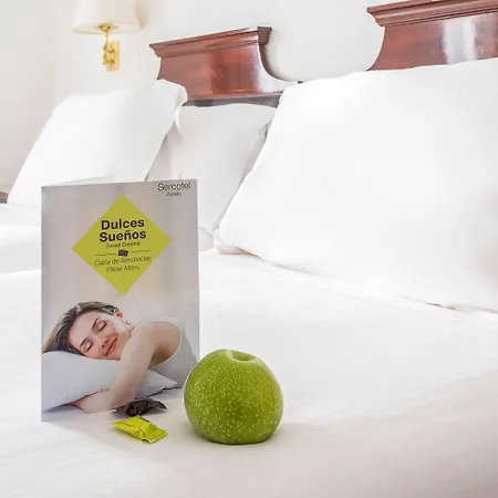 Sercotel Europa San Sebastián